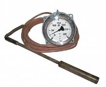 ТКП-100Эк-М1-(0...+100)°С-1,0-6-250 УТ000004727