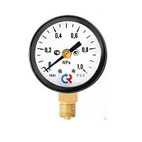 ТМ-110Р.00(0-250)кгс/см2.M10х1.2,5 УТ000000465